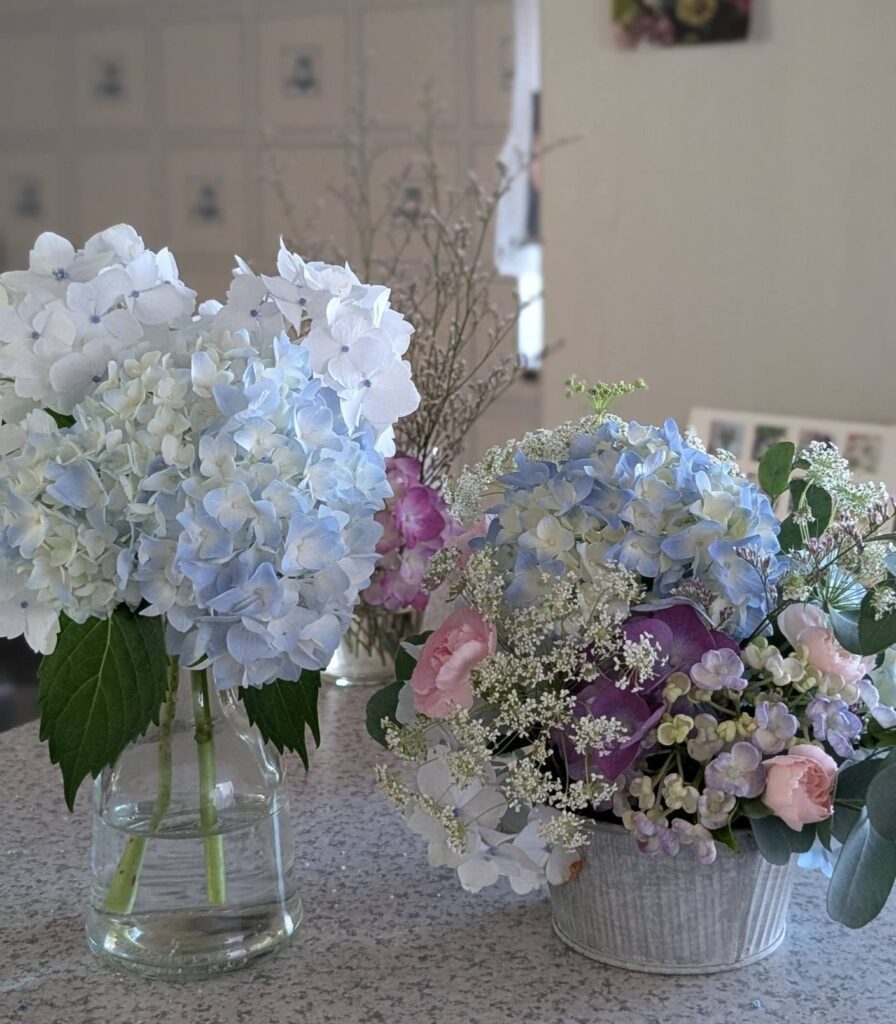 ６月ワークショップ