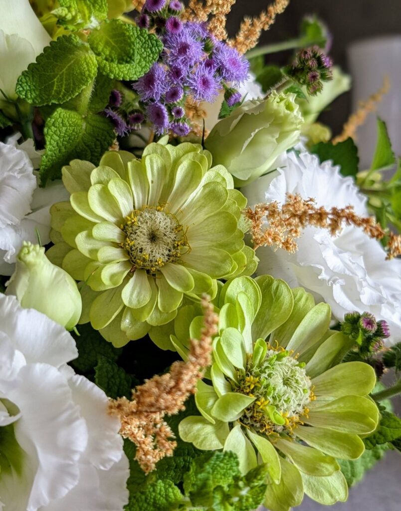 涼と癒しのアンサンブル