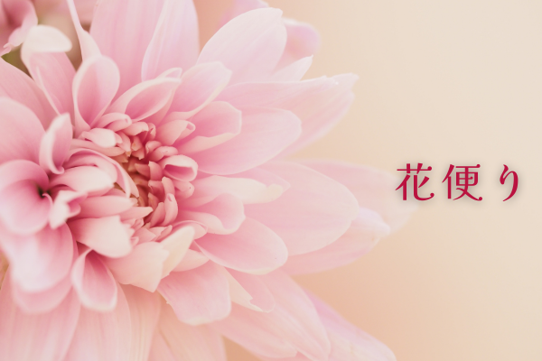 フラワースピリット花蓮