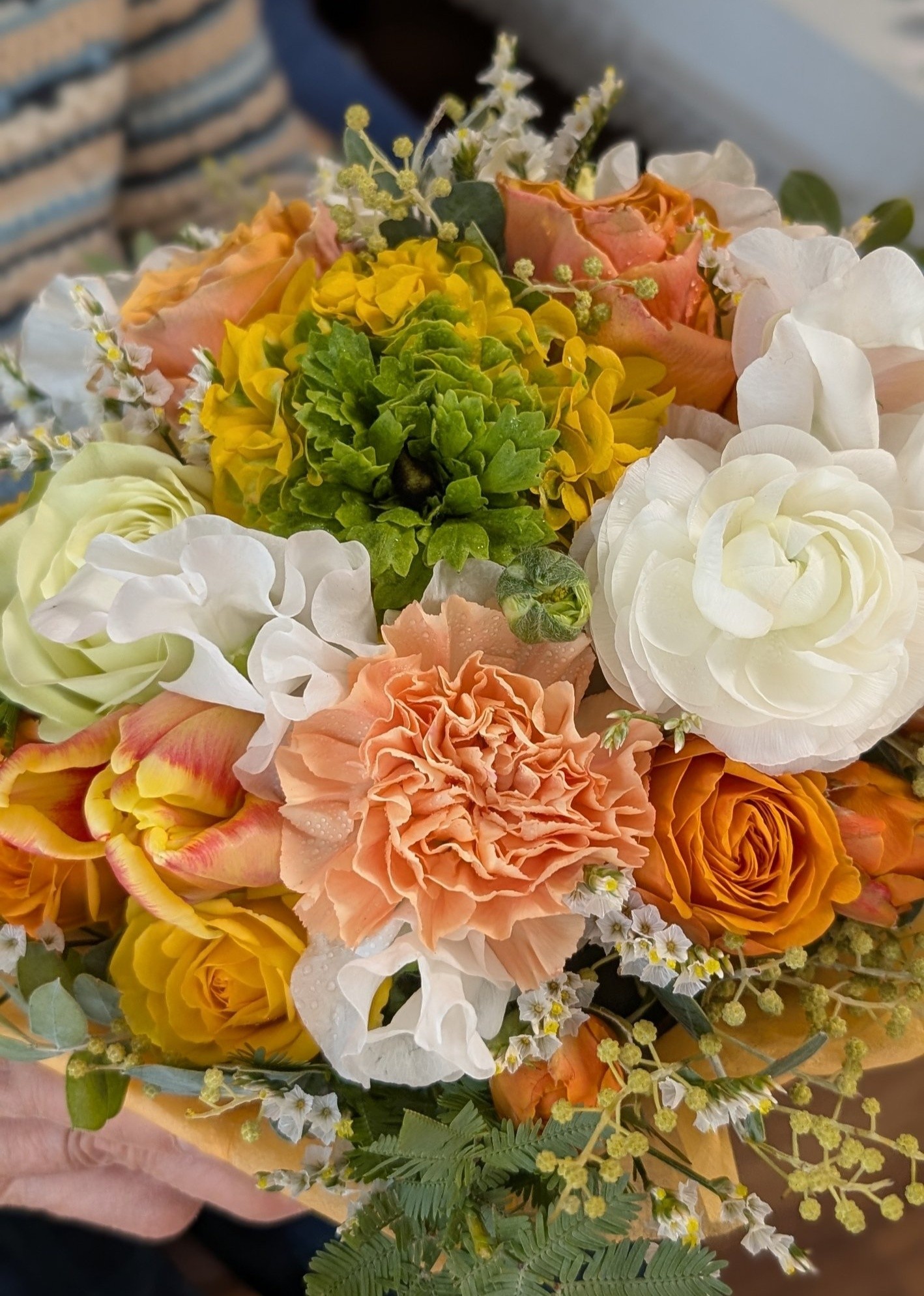 カーネーション　二度と同じ花には出会えない