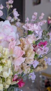 さくらひめの仕入れで出会った花　伊予路に春を呼ぶ椿まつりにて