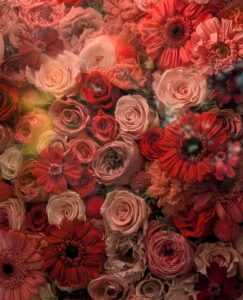 東京フラワーバーの赤いバラのアレンジメント